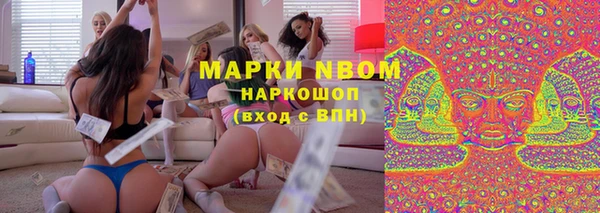 PSILOCYBIN Алзамай
