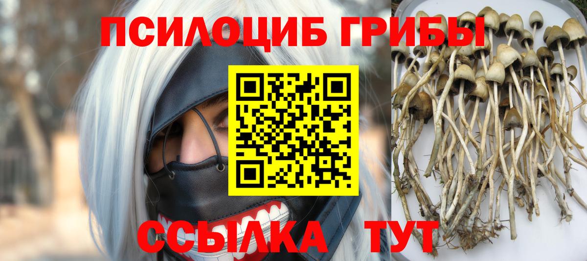  COCAIN Балаково