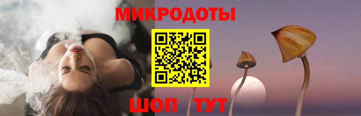 Балаково  Галлюциногенные грибы Psilocybine cubensis  Вход с VPN 